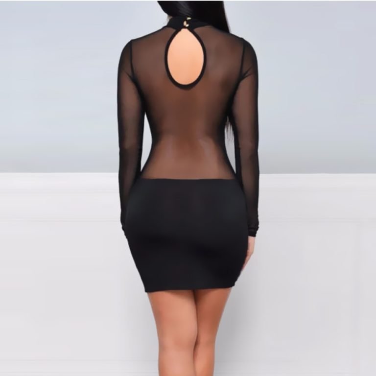 Women-Sexy-Dress-See-Through-Mesh-Bandage-Bodycon-Long-Sleeve-Evening-Party-Clubwear-Sexy-club-style-2